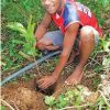 Community Centred Conservation (C3) Fiji
