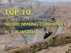 HONG KONG FULIN MINING INDUSTRY COMPANY (FIJI) PTE LTD