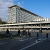 World Health Organization